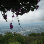 An expansive overlook of Chiang Mai from Doi Suthep. The city seems a lot smaller when you're in it.