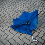 Wounded umbrella imitating stingray in attempt avoid decimation by celebration.