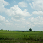 Miles of nothing but grass and blue skies. Though Arkansas has a hillbilly rep it is an amazingly scenic state.