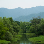 Xixi National Wetland Park. This is a good escape from my new-found city life. However, people out at this park were so amazed by Shawna and I that one guy stopped his bike, got off and then asked if we would take a picture with him.