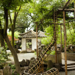 This tree was deemed a dissident by the Chinese government. It is now imprisoned and has shoddy internet access.