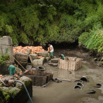 These bros just loooooove to play in the mud. Reconstructing outdated buildings with ancient Legos...that's just "their thing"...their wives don't even have to know.