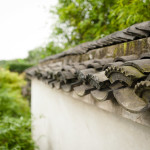 Some intricate patterns in the shingles; they are kind of hard to see at this size, but they are little circular designs right under the ridges.