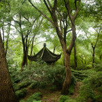 Little baby pagoda tucked away. This was at Tiger Hill, one of the most beautiful and lush areas we've seen so far.