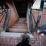 I've got a thing for really steep stairs. Maybe it's because if you fall down them you might get lucky enough to die.