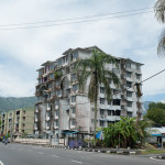 A gigantic palm tree painted on the side of these apartments. It was so realistic.