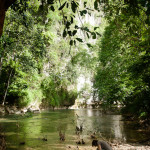 Shawna playing by the river outside of our jungle house in the rainforest.