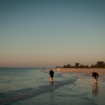 Some 50+ers collecting seashells to take with them in the afterlife as an offering to Jesus or Buddha or the monkey from Aladin.