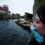 Sondra ponders jumping into the icy water to swim with the penguins, evicted from their homeland so others may view them briefly as a spectacle and then return to their normal days. Zoos rock!