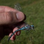 First catch in South America...I can't tell you how relieved and appreciative I felt.