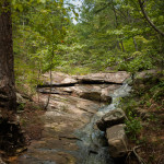 How can such serene beauty exist in the midst of such crazy conservative madness? I mean...this stream is not even remotely straight and it is way out in the open!